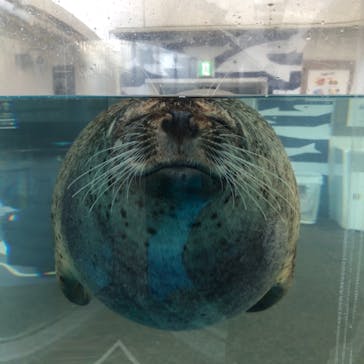 京都水族館に投稿された画像（2021/1/2）