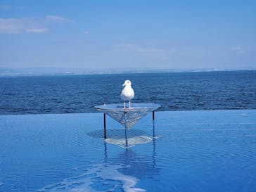 大分マリーンパレス水族館 「うみたまご」に投稿された画像（2021/1/2）