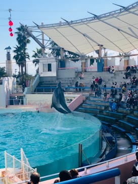 株式会社Gに投稿された画像（2021/1/2）