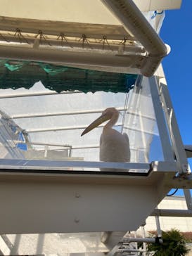 サンシャイン水族館に投稿された画像（2021/1/2）