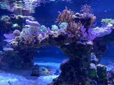 すみだ水族館に投稿された画像（2021/1/2）