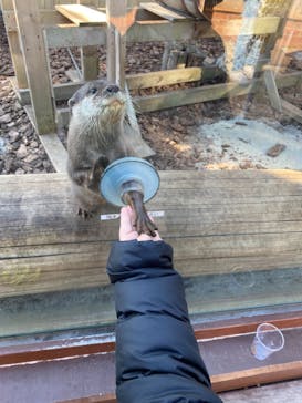 横浜・八景島シーパラダイスに投稿された画像（2021/1/2）