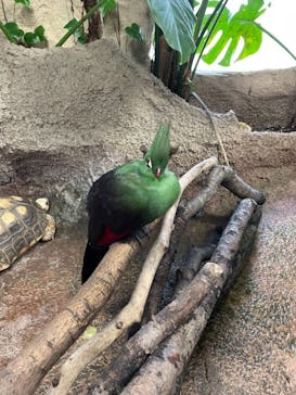 那須どうぶつ王国に投稿された画像（2021/1/2）