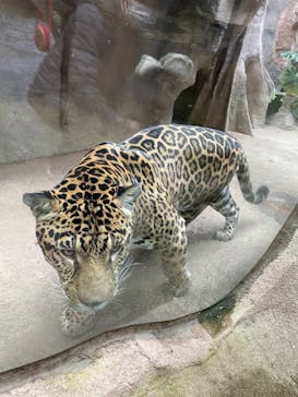 那須どうぶつ王国に投稿された画像（2021/1/2）