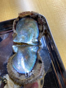 三重県真珠に投稿された画像（2021/1/2）