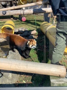 天王寺動物園に投稿された画像（2021/1/2）