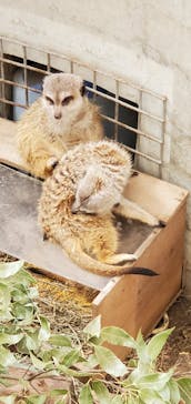 群馬サファリパークに投稿された画像（2021/1/2）