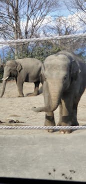 群馬サファリパークに投稿された画像（2021/1/2）