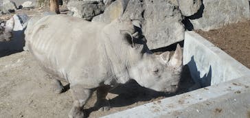 群馬サファリパークに投稿された画像（2021/1/2）