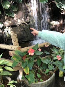 アロハガーデンたてやまに投稿された画像（2021/1/2）