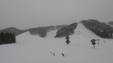 戸隠スキー場に投稿された画像（2021/1/2）