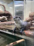 仙台うみの杜水族館に投稿された画像（2021/1/2）