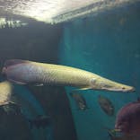 株式会社Gに投稿された画像（2021/1/2）