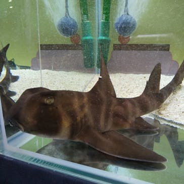 株式会社Gに投稿された画像（2021/1/2）