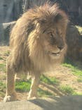 天王寺動物園に投稿された画像（2021/1/2）