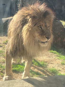 天王寺動物園に投稿された画像（2021/1/2）