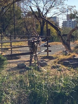 天王寺動物園に投稿された画像（2021/1/2）