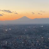 横浜ランドマークタワー 69階展望フロア スカイガーデンに投稿された画像（2021/1/2）