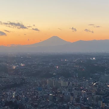 横浜ランドマークタワー 69階展望フロア スカイガーデンに投稿された画像（2021/1/2）