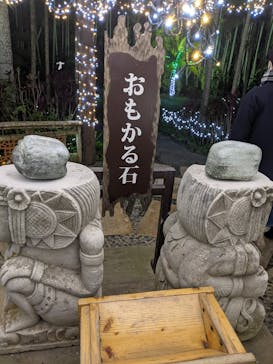 美らヤシパークオキナワ・東南植物楽園に投稿された画像（2021/1/2）