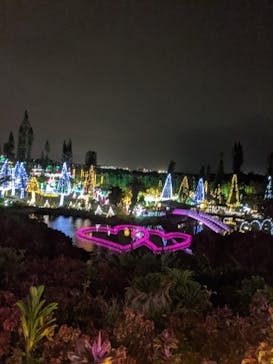 美らヤシパークオキナワ・東南植物楽園に投稿された画像（2021/1/2）