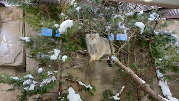 那須どうぶつ王国に投稿された画像（2021/1/2）