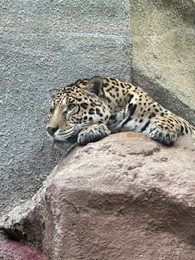 那須どうぶつ王国に投稿された画像（2021/1/2）