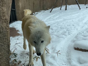 那須どうぶつ王国に投稿された画像（2021/1/2）