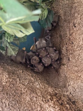 那須どうぶつ王国に投稿された画像（2021/1/2）