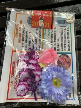 野外民族博物館 リトルワールドに投稿された画像（2021/1/2）