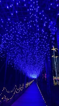 美らヤシパークオキナワ・東南植物楽園に投稿された画像（2021/1/2）