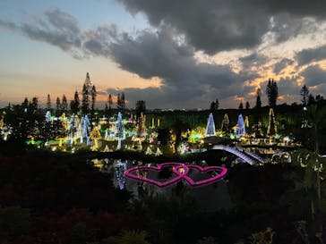 美らヤシパークオキナワ・東南植物楽園に投稿された画像（2021/1/2）