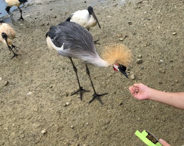 ネオパークオキナワに投稿された画像（2021/1/2）