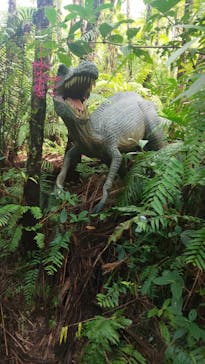 御菓子御殿　名護店　やんばる亜熱帯の森DINO恐竜PARKに投稿された画像（2021/1/2）