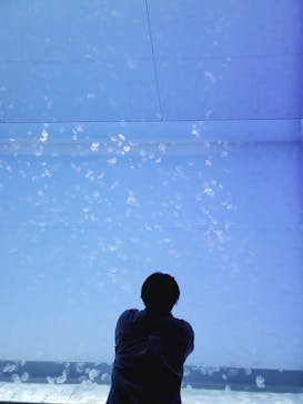 アクアワールド茨城県大洗水族館に投稿された画像（2021/1/2）