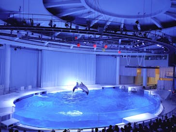 アクアワールド茨城県大洗水族館に投稿された画像（2021/1/2）