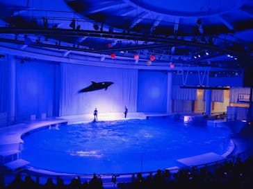 アクアワールド茨城県大洗水族館に投稿された画像（2021/1/2）