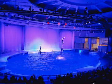 アクアワールド茨城県大洗水族館に投稿された画像（2021/1/2）