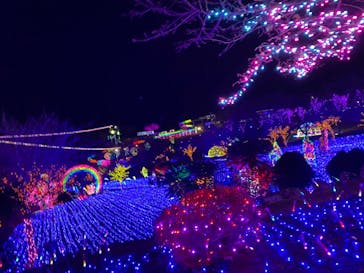 伊豆ぐらんぱる公園に投稿された画像（2021/1/2）