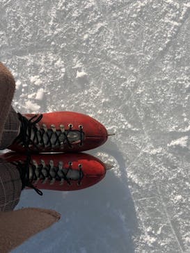 ひらかたパークに投稿された画像（2021/1/2）