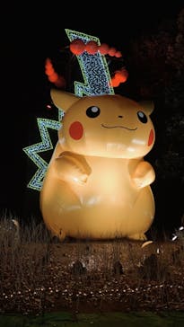 さがみ湖MORI MORIに投稿された画像（2021/1/2）