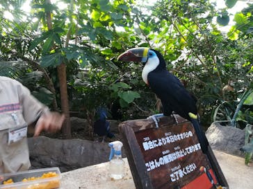 神戸どうぶつ王国に投稿された画像（2021/1/2）