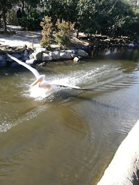 神戸どうぶつ王国に投稿された画像（2021/1/2）