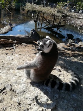 神戸どうぶつ王国に投稿された画像（2021/1/2）