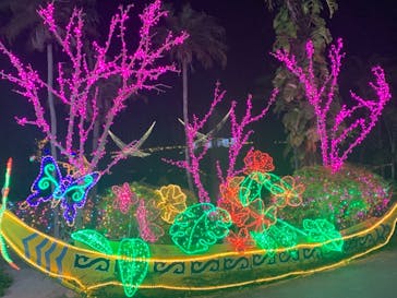 美らヤシパークオキナワ・東南植物楽園に投稿された画像（2021/1/2）