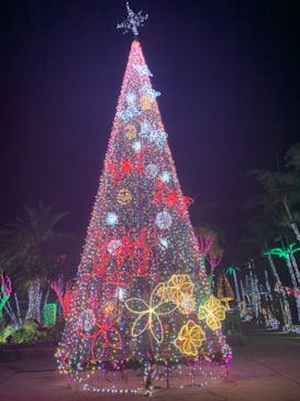 美らヤシパークオキナワ・東南植物楽園に投稿された画像（2021/1/2）