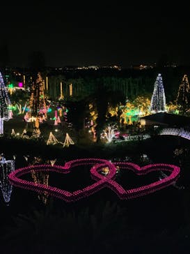 美らヤシパークオキナワ・東南植物楽園に投稿された画像（2021/1/2）