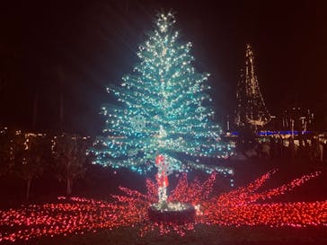 美らヤシパークオキナワ・東南植物楽園に投稿された画像（2021/1/2）