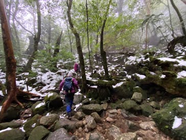 屋久島ガイド21EC-Kに投稿された画像（2021/1/2）