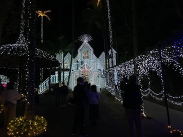 美らヤシパークオキナワ・東南植物楽園に投稿された画像（2021/1/2）